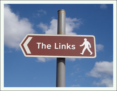 the-links